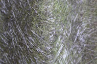 Elliots Green fibreglass roof work